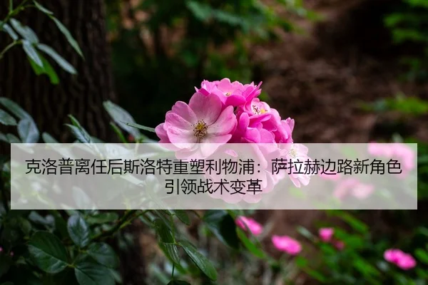 ke-luo-pu-li-ren-hou-si-luo-te-zhong-su-li-wu-pu-sa-la-he-bian-lu-xin-jue-se-yin-ling-zhan-shu-bian-ge-3-978.jpg