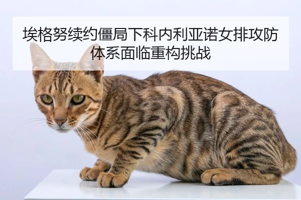 ai-ge-nu-xu-yue-jiang-ju-xia-ke-nei-li-ya-nuo-nv-pai-gong-fang-ti-xi-mian-lin-zhong-gou-tiao-zhan-2-168.jpg